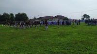 IMG-20240308-WA0030